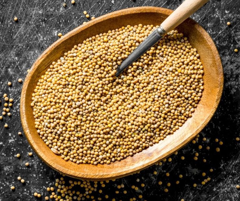 Is Mustard Seed GlutenFree? Club Gluten Free