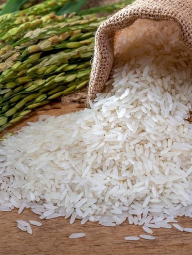 Is Jasmine Rice Gluten Free?