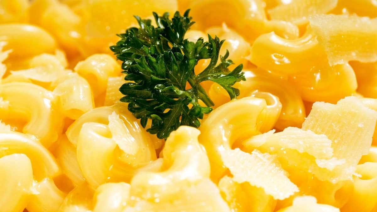 Gluten Free Mac and Cheese Brands Our Top Picks