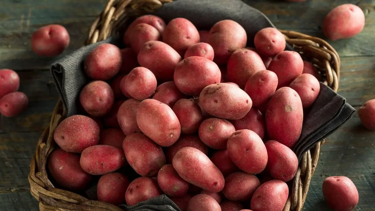 Are Red Potatoes Gluten Free (& How To Make Perfect Roasties)