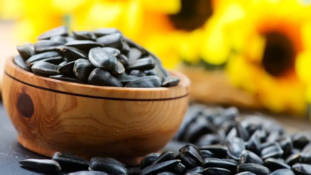 Are Sunflower Seeds Gluten Free (Nuts and Seeds GF List)
