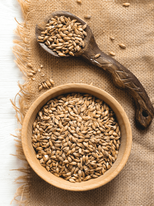 Does Malt Flavor Contain Any Gluten?