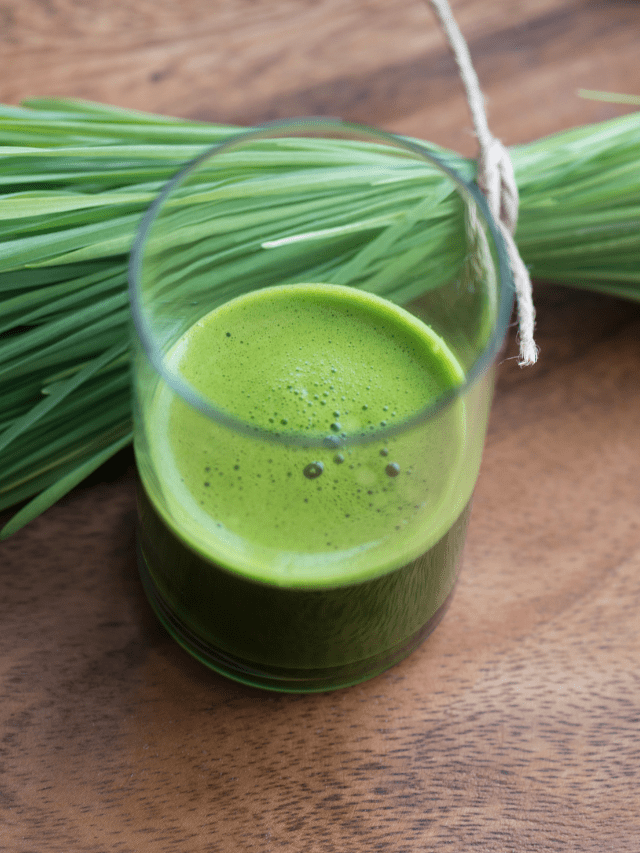 Does Wheatgrass Contain Gluten?